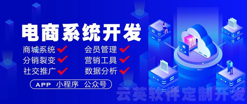 独立站建设选购指南：开启跨境电商旅程的新引擎